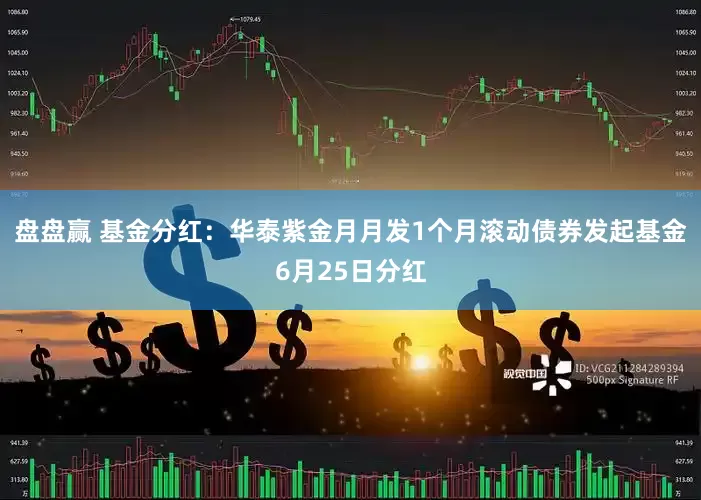 盘盘赢 基金分红：华泰紫金月月发1个月滚动债券发起基金6月25日分红