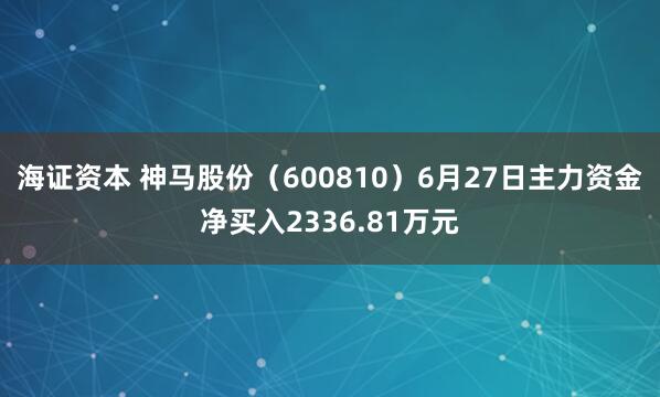海证资本 神马股份（600810）6月27日主力资金净买入2336.81万元