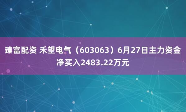 臻富配资 禾望电气（603063）6月27日主力资金净买入2483.22万元