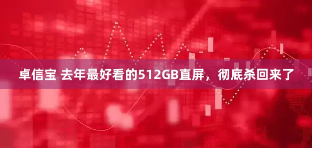 卓信宝 去年最好看的512GB直屏，彻底杀回来了